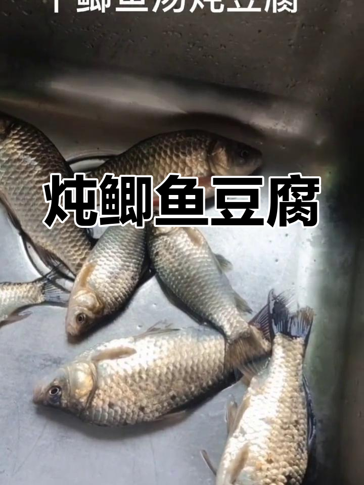 鲫鱼豆腐汤的做法