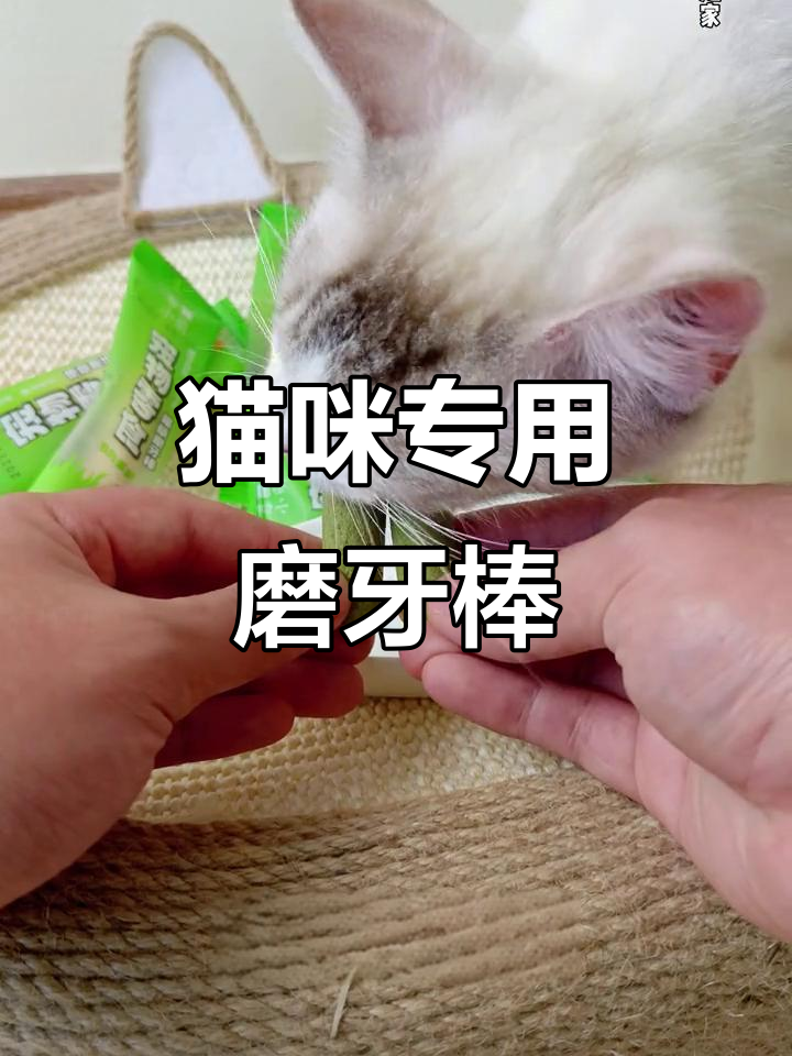猫咪磨牙棒,鸡肉猫草配方,增肥发腮又去结石