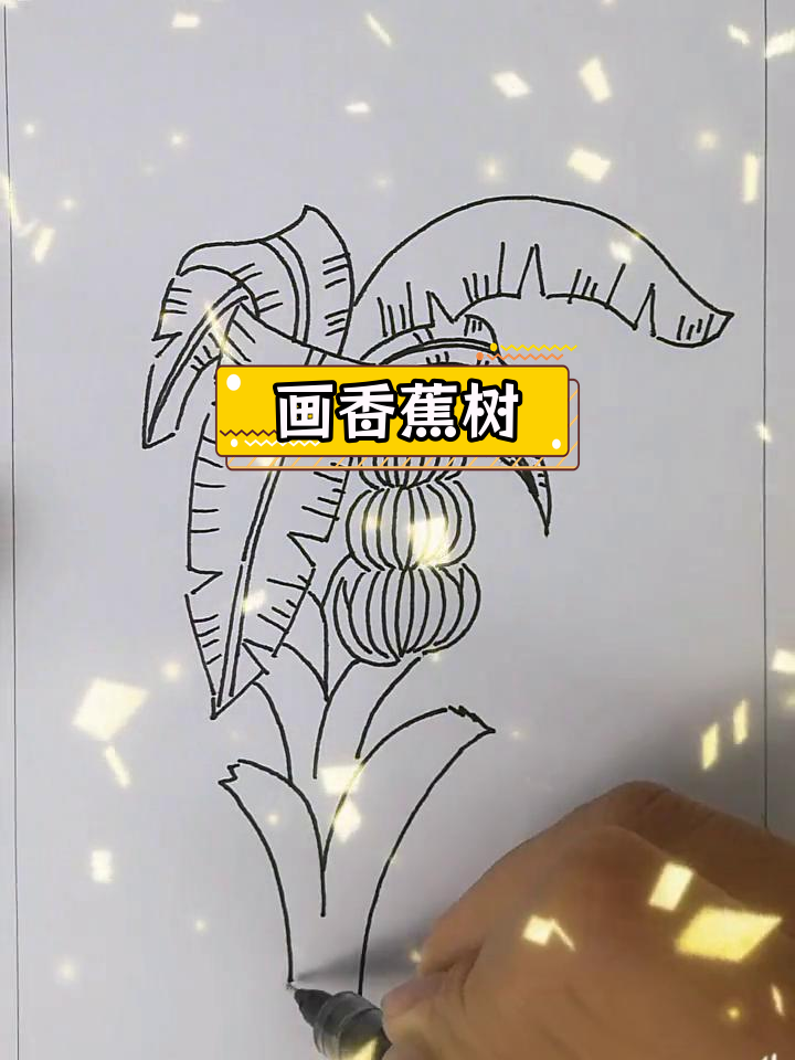 一棵香蕉树的简笔画教程