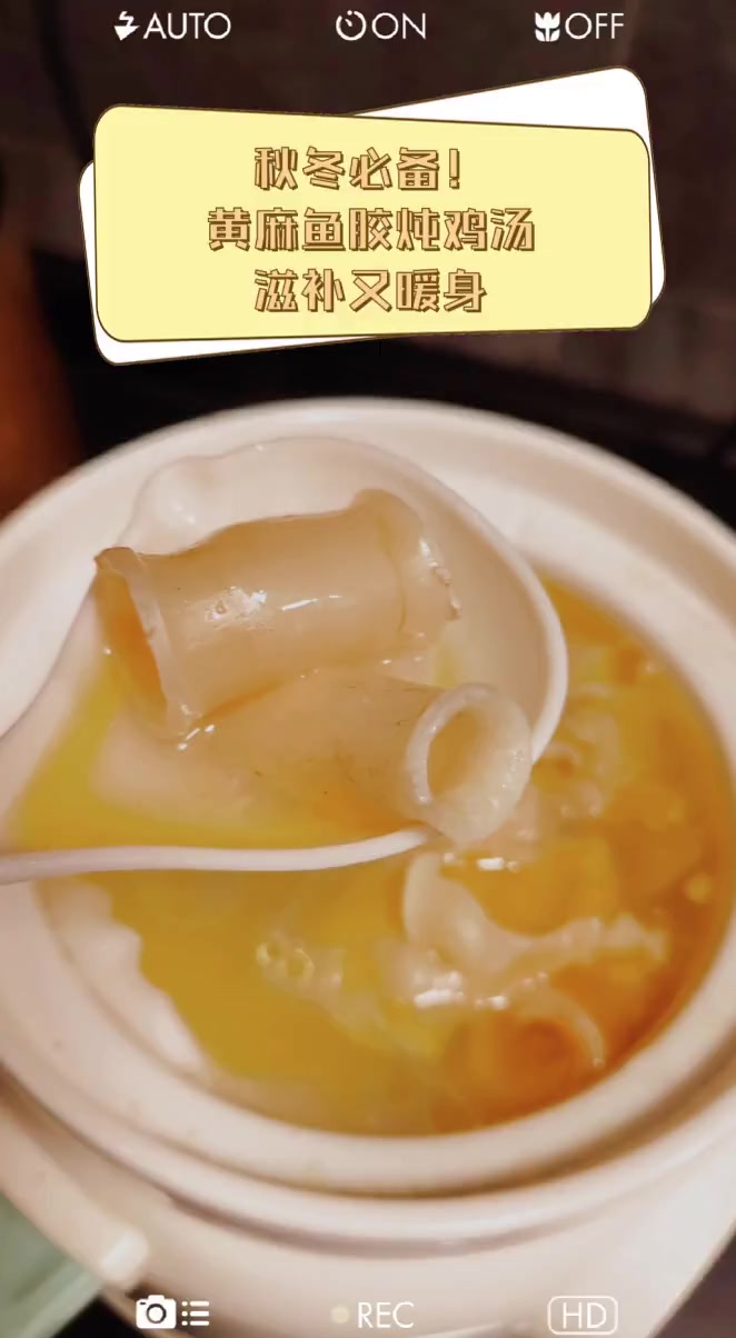秋冬必备!黄麻鱼胶炖鸡汤,滋补又暖身