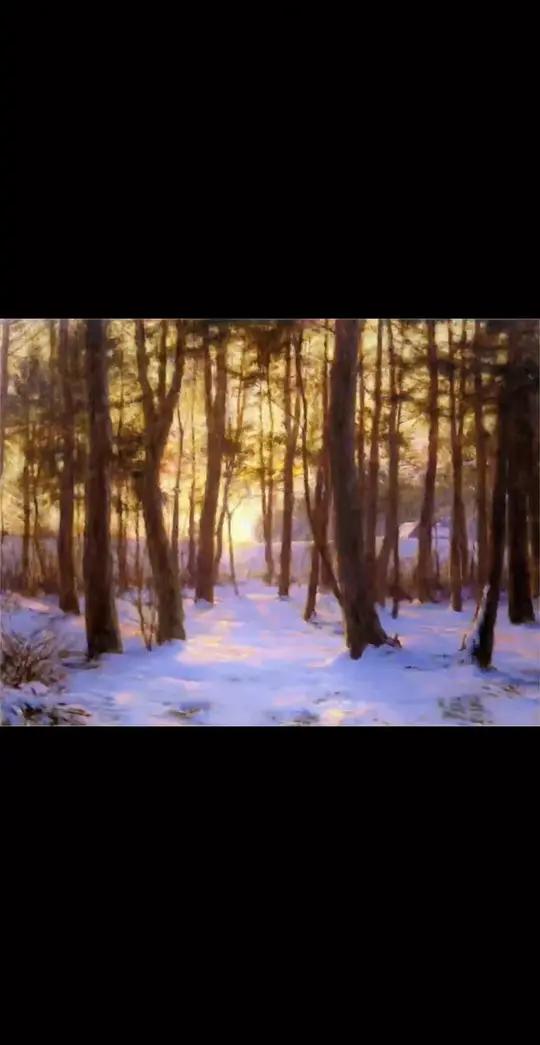 「沃尔特 · 朗特帕默 作品系列第9集」金色的雪,真的很美。去年整个冬天几乎没有下雪呢。美