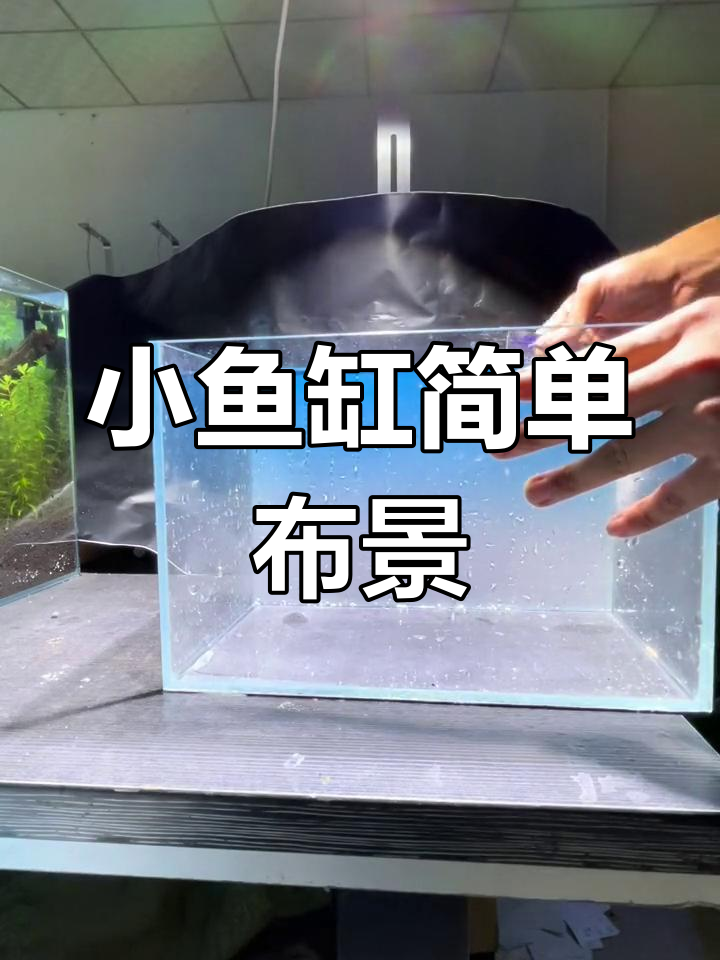 30厘米小缸造景教程