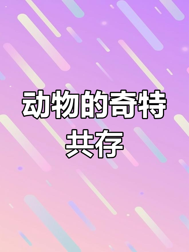 鳄鱼与牙签鸟的默契合作,自然界的奇妙共生关系