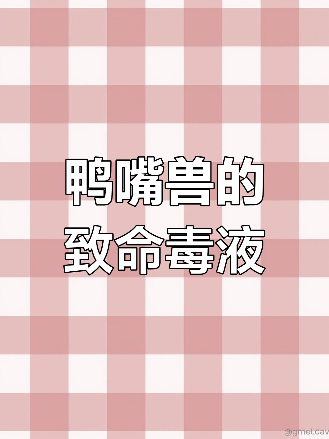 鸭嘴兽毒液含80余种毒素,不可小觑!