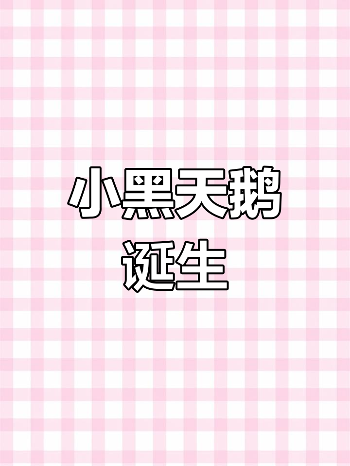 春天来临,小黑天鹅破壳而出,取名“小春”寓意新生