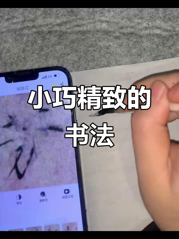 瘦金体小楷,精致书写,适合各种精细字体需求