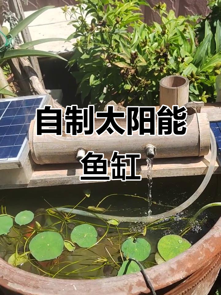 太阳能增氧鱼缸,农村小院DIY设计