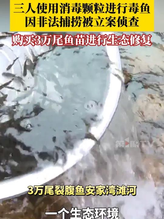 购买3万尾裂腹鱼鱼苗进行生态修复。当事人:我之前的行为是非常错误的!我不应该对鱼类进行伤害