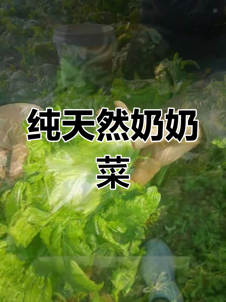 四川广安农家奶奶菜,天然美味如何吃?
