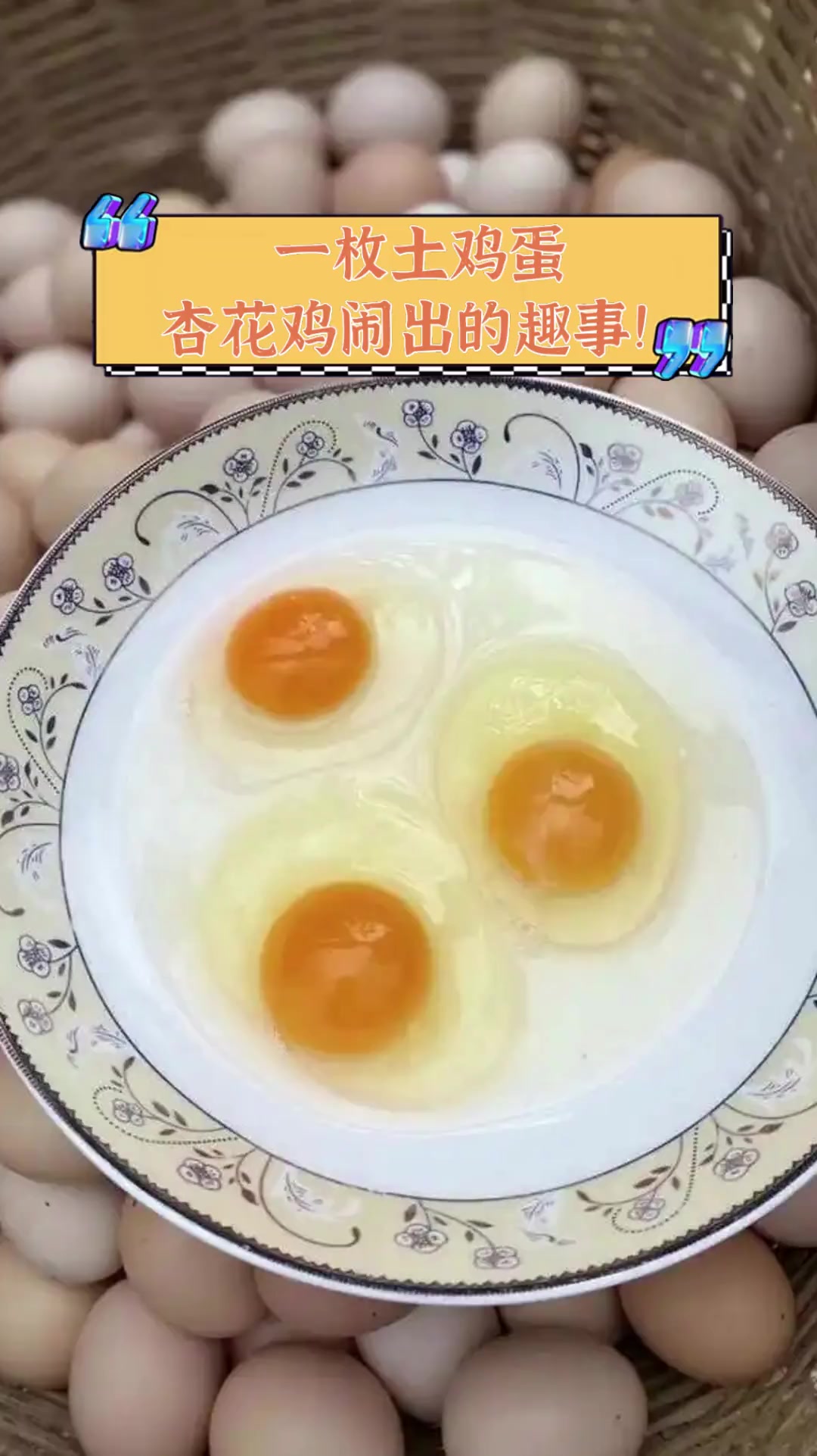 一枚土鸡蛋,杏花鸡闹出的趣事!