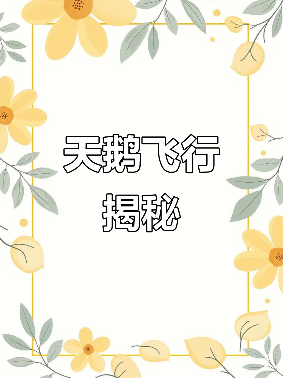 大天鹅如何借助翅膀与脚蹼起飞,探索神奇自然力量