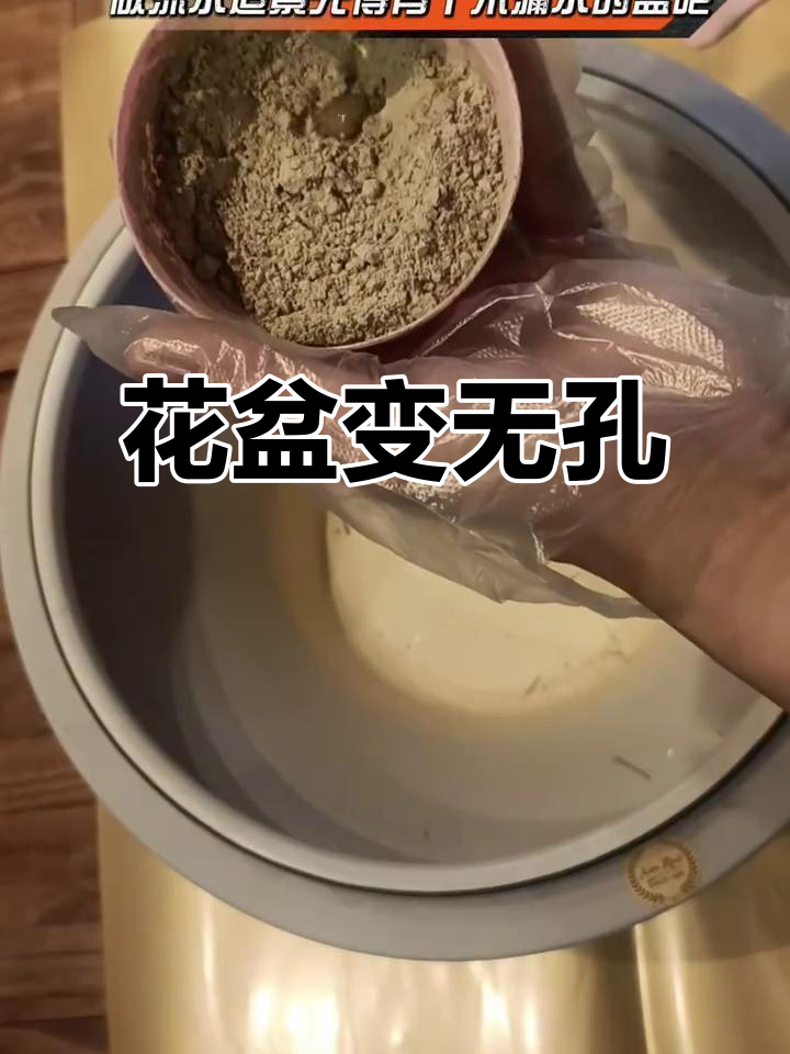 花盆从有孔到无孔,鱼缸造景大变身