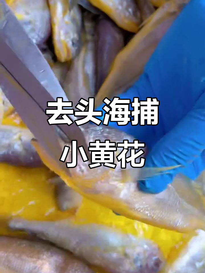 海捕黄花鱼去头内脏，轻松烹饪鲜美又省心