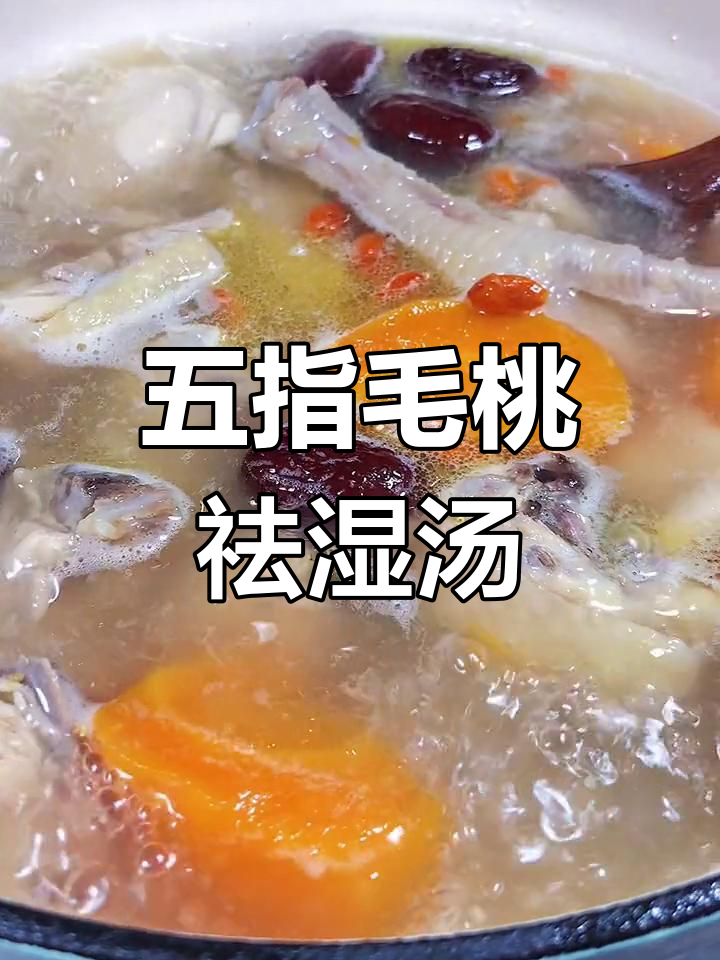 湿气重?试试这款五指毛桃土茯苓鸡汤