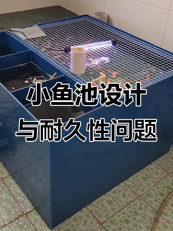 这款塑料小鱼池设计精巧,耐用性待提升
