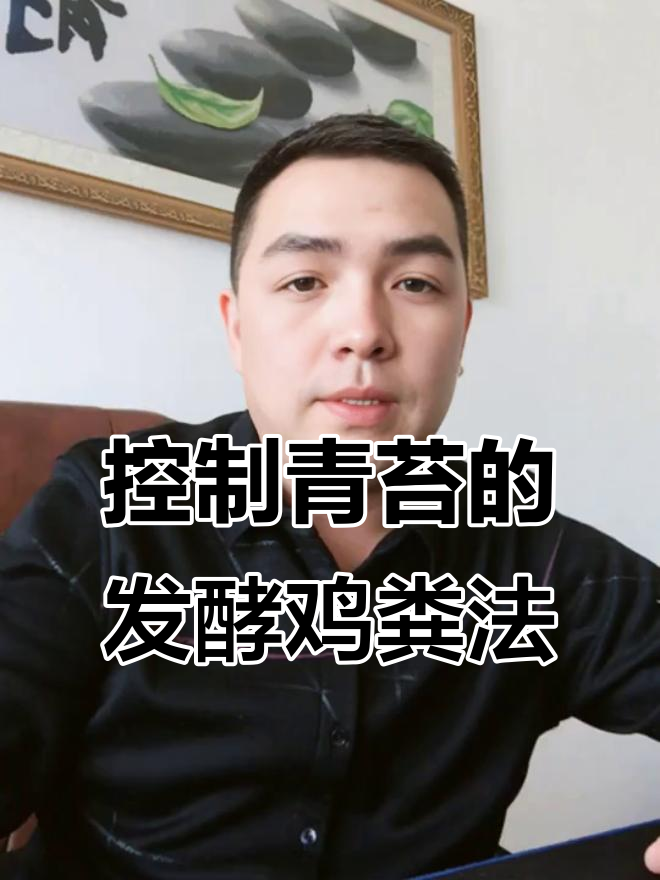 发酵鸡粪如何正确使用,才能防止青苔疯长?