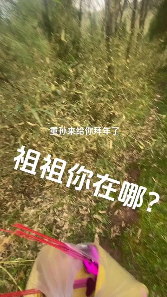 回复 我爆鸡母鞋都刹起胶了!回村后 野人 挖野菜 龙年会友第一杯喝霸王茶姬