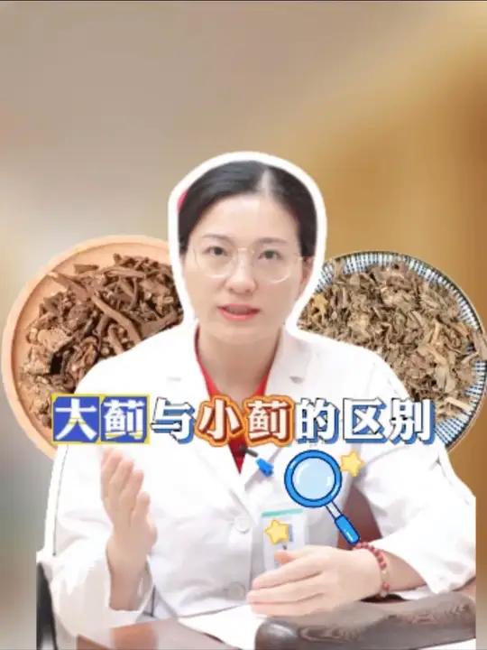 大蓟小蓟的区别