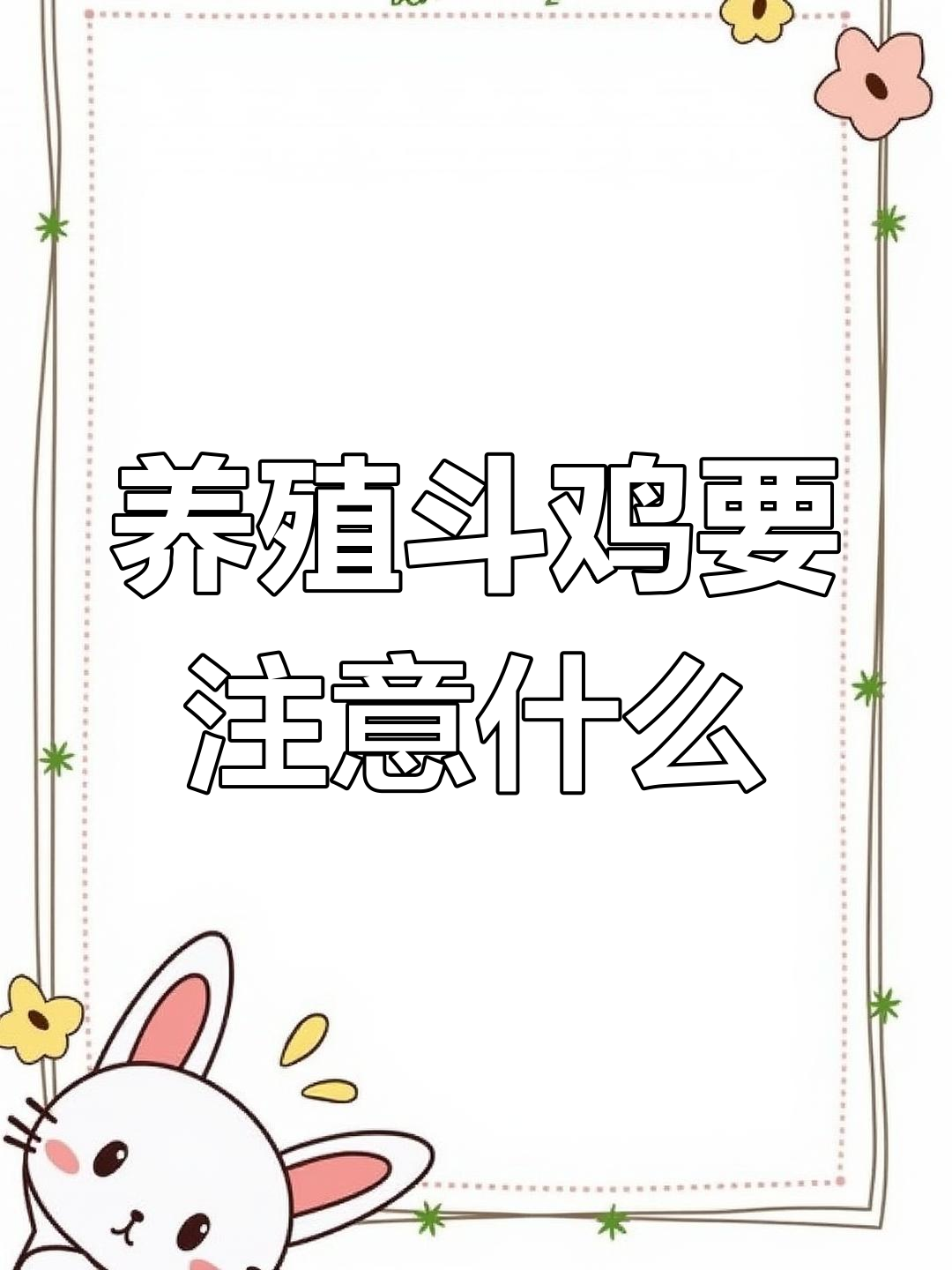 养斗鸡还是土鸡?了解养斗鸡的注意事项