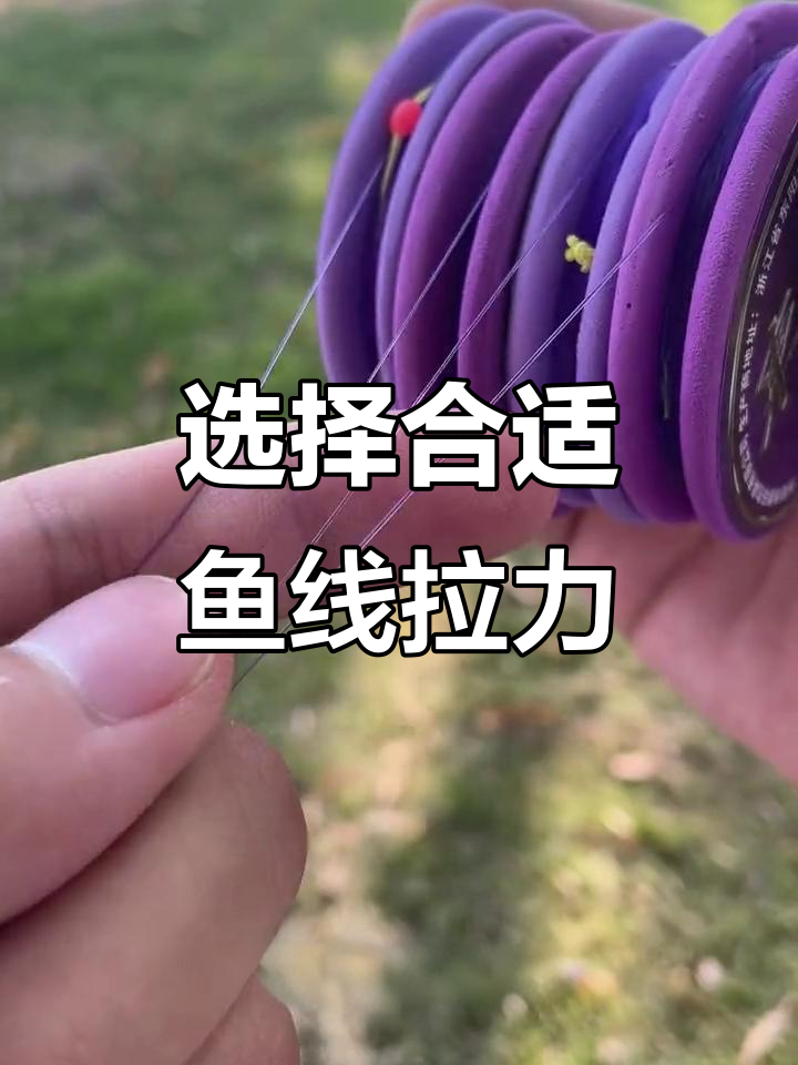 鱼线拉力如何选择?从零点八到二点五的适用范围
