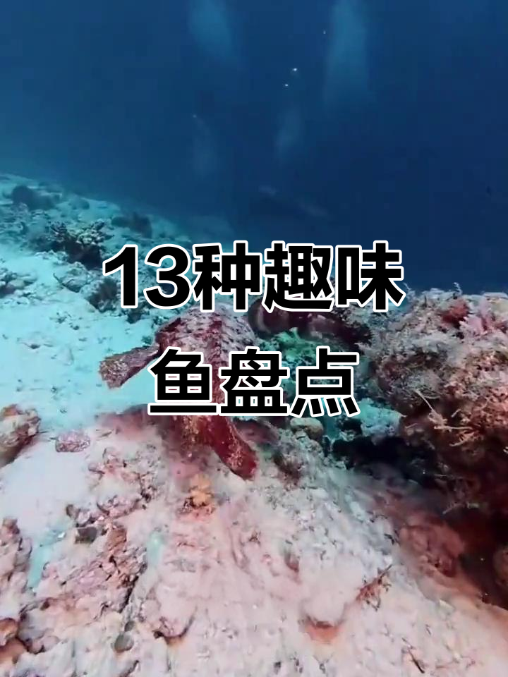 13种可爱鱼类大揭秘，看看你认识几种？