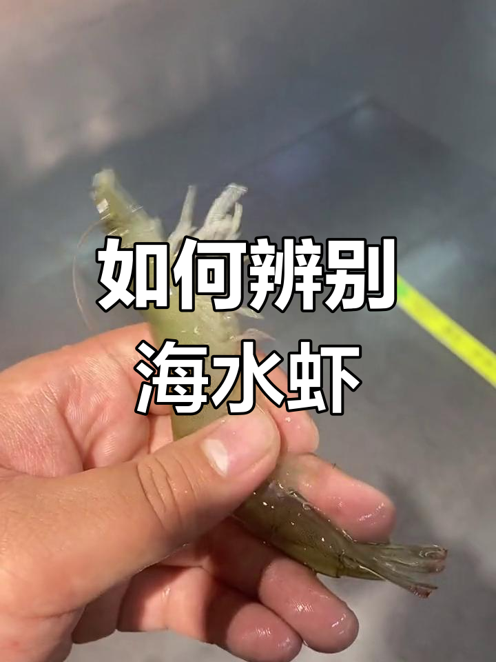 海水虾和淡水虾怎么区分?菜场对虾真相大揭秘