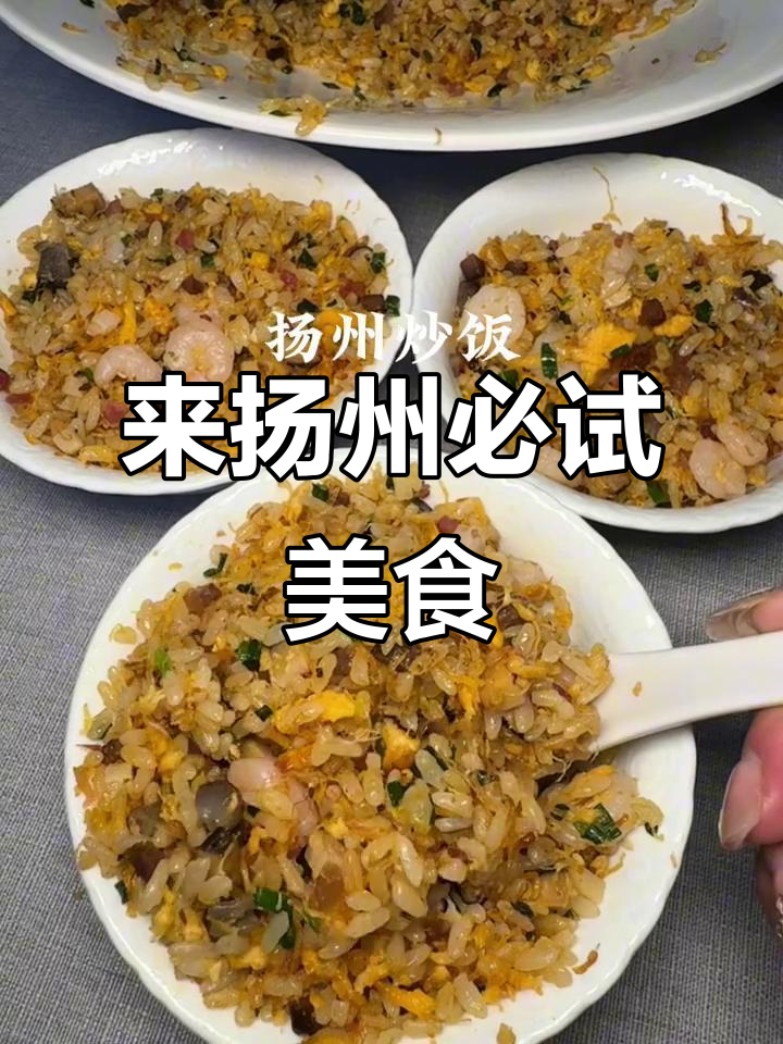 扬州炒饭与八宝葫芦鸭,不可错过的美味之旅