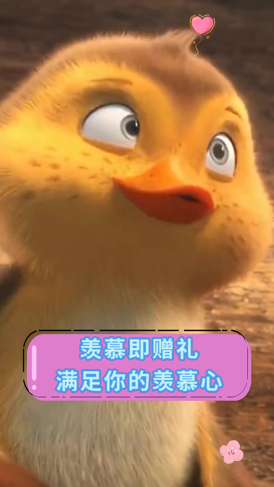 羡慕即赠礼满足你的羡慕心