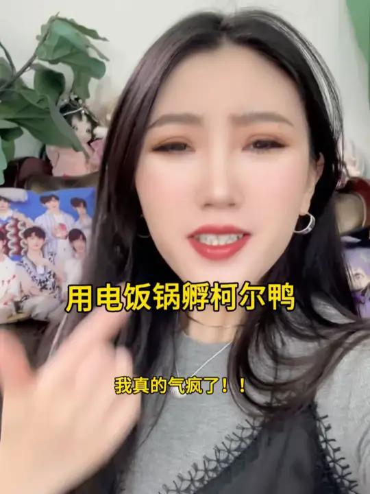 用电饭锅孵柯尔鸭|这次我真的气疯了!