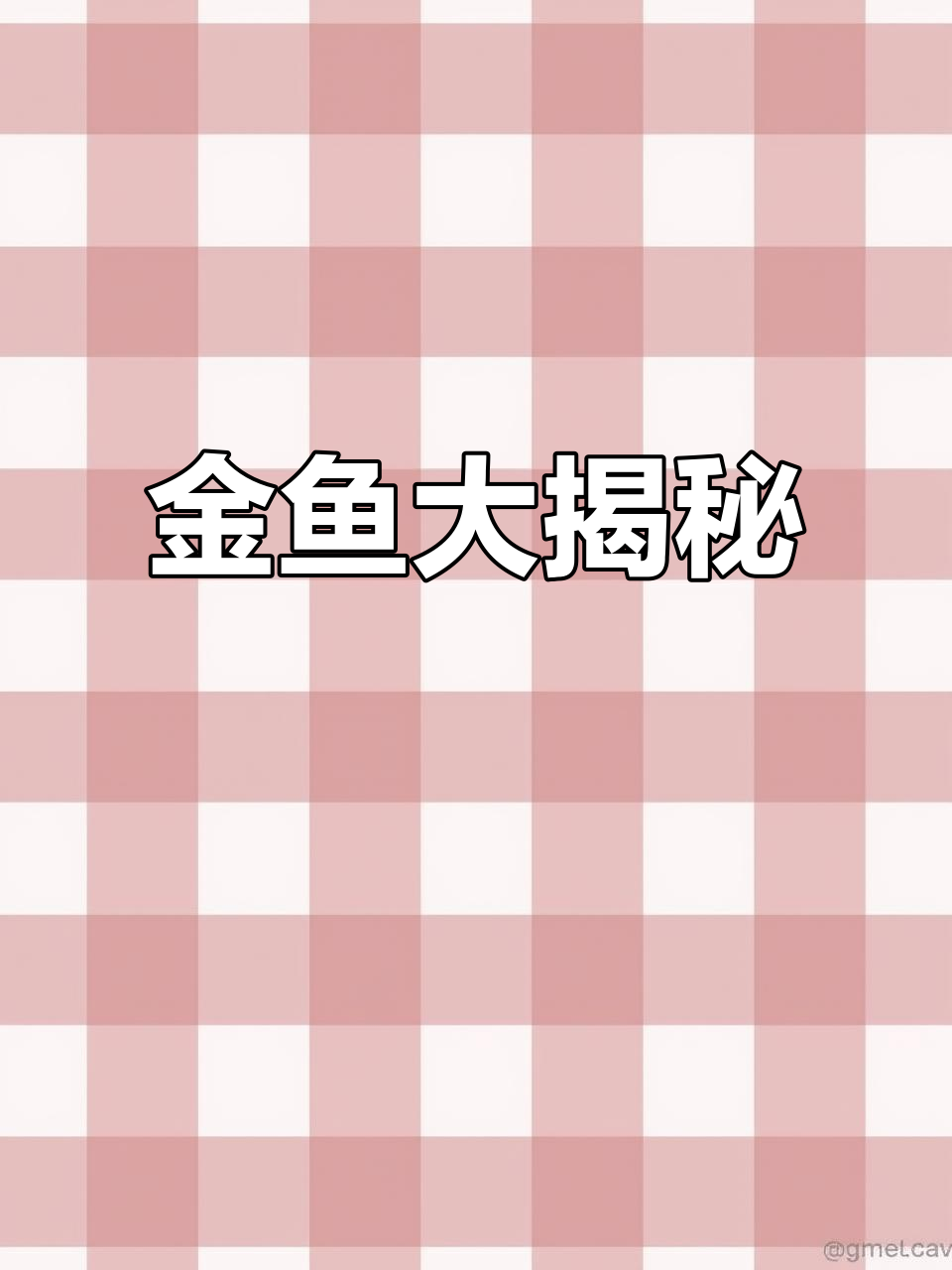 金鱼种类繁多,数都数不清!一起看看有多少种吧!