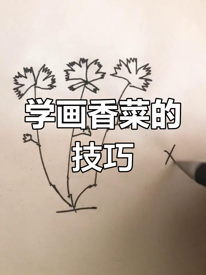 画香菜,香气四溢