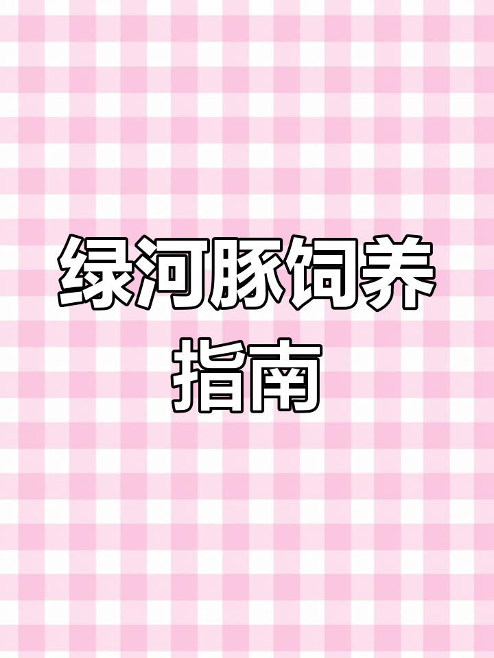 绿河豚:食肉半汽水鱼,凶猛不宜与其他鱼类共养