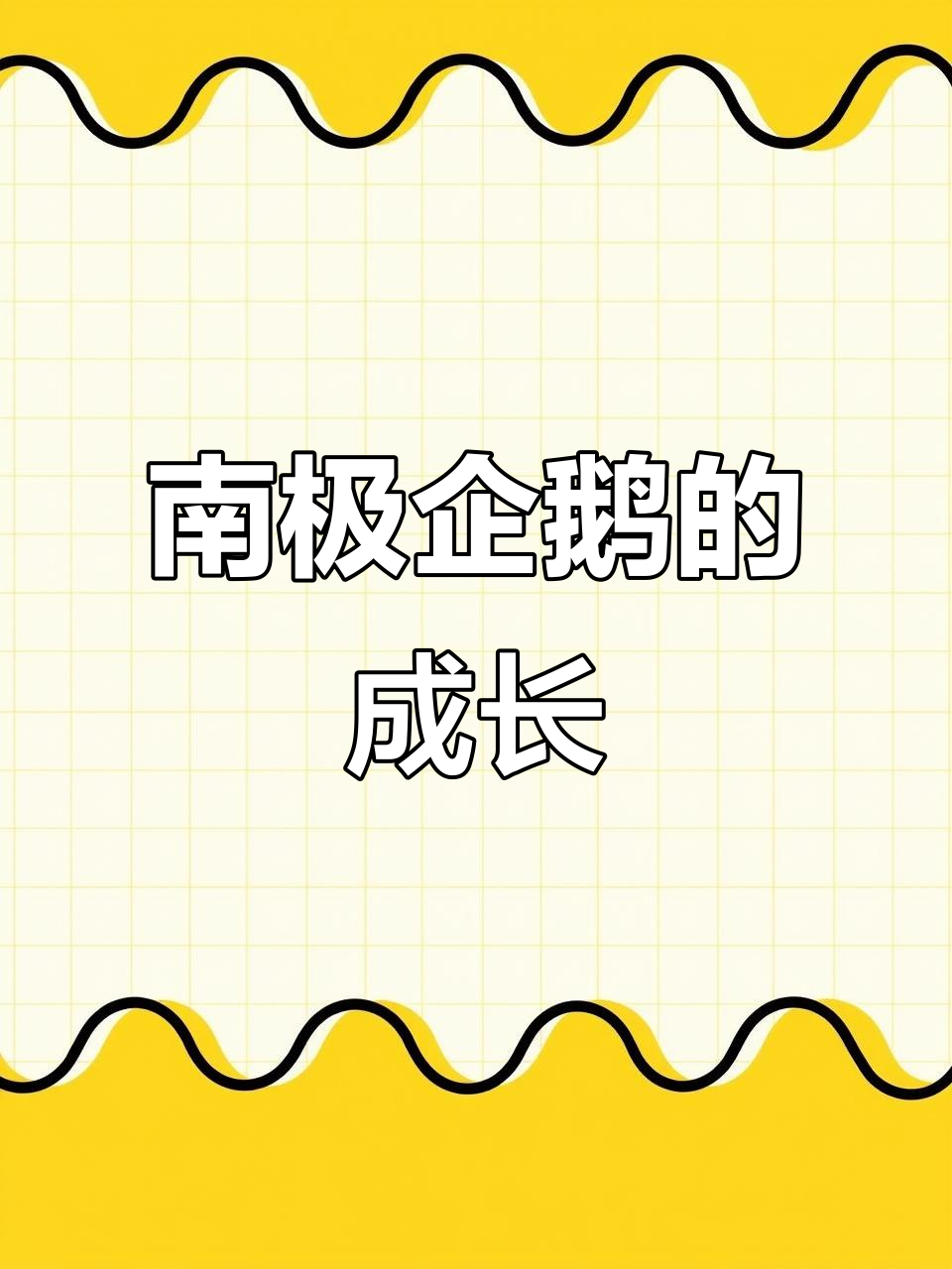 探秘南极企鹅的一生:从出生到成长的艰辛历程