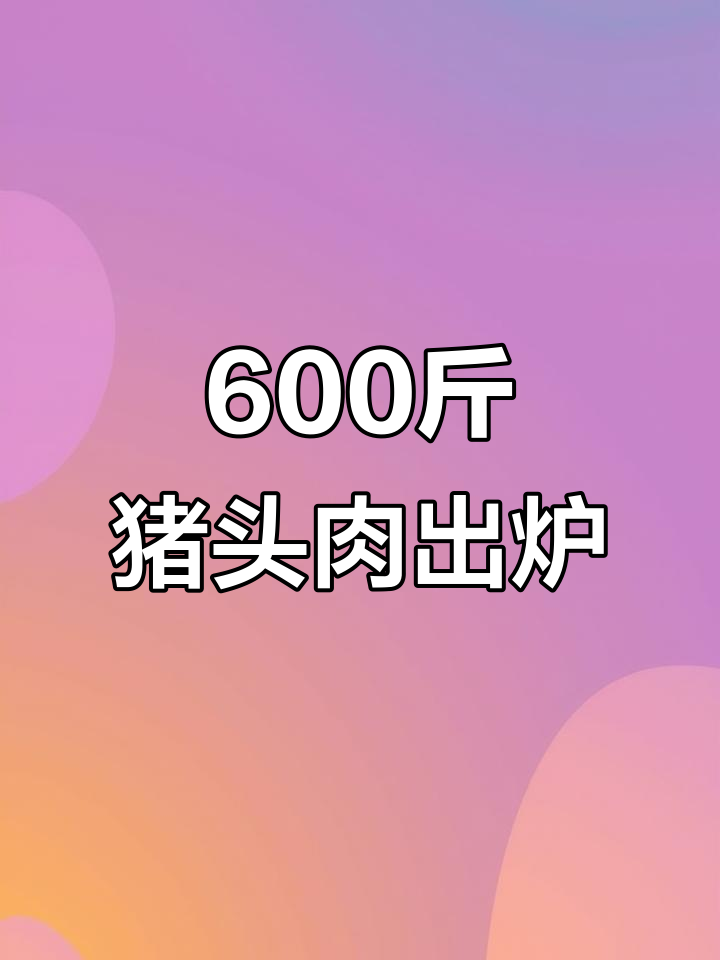 六百斤猪头肉现卤,上午十点半开锅!