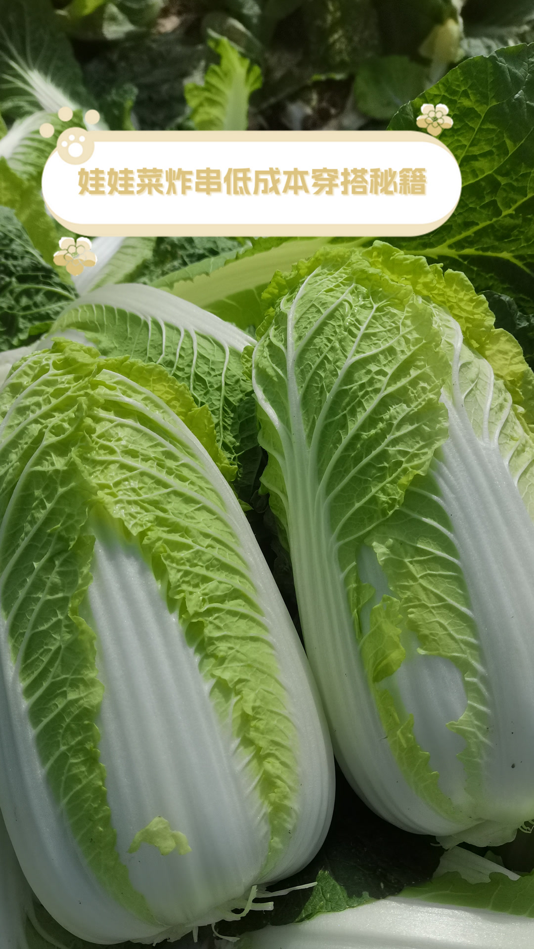 娃娃菜炸串低成本穿搭秘籍