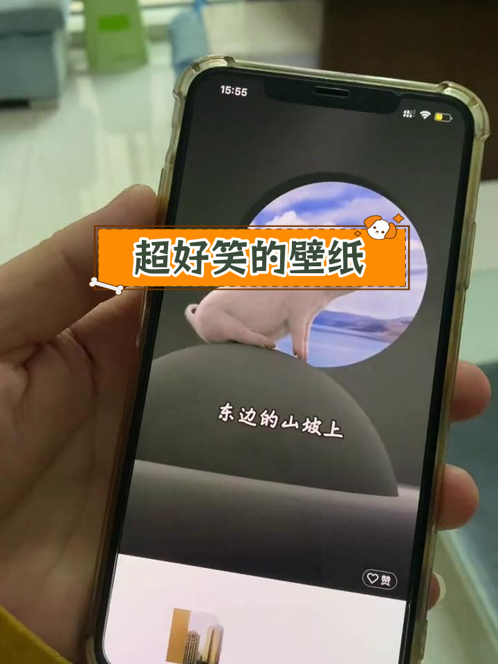 搞笑壁纸大集合,笑到停不下来