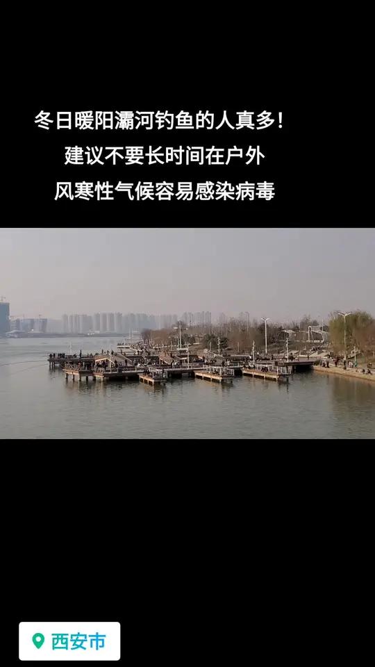 路过西安灞河大桥,看到大桥上爬这很多人,原来是在用筏竿钓鱼,再看灞河二岸,密密麻麻的鱼竿,