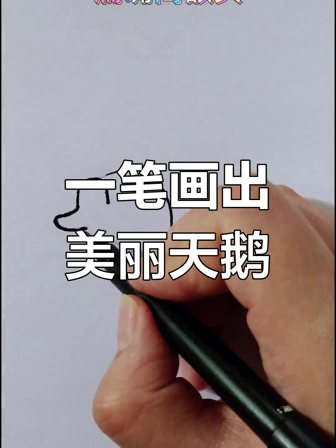 轻松学画可爱天鹅,步骤简单又有趣