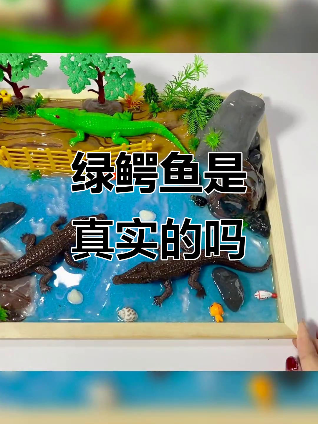 绿色鳄鱼真能存在?揭秘手工DIY的创意世界