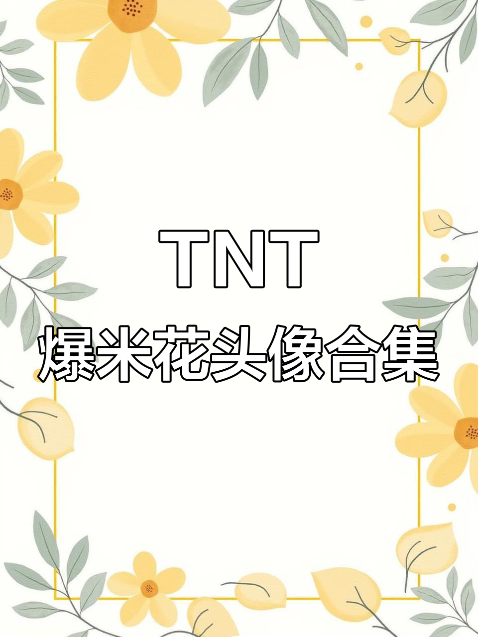 爆米花头像大赏，TNT时代少年团成员风格展示