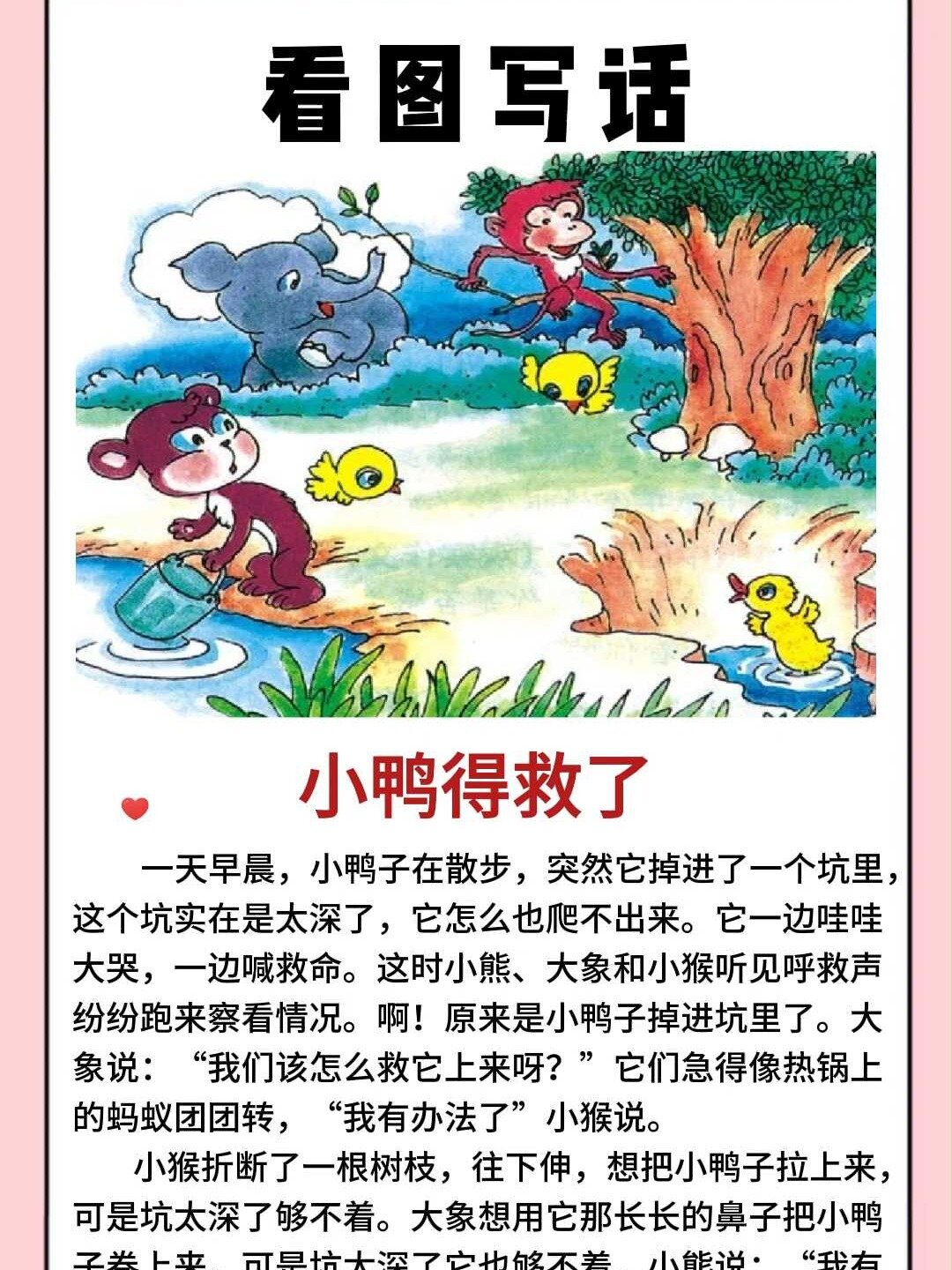 看图写话范文|《小鸭得救了》