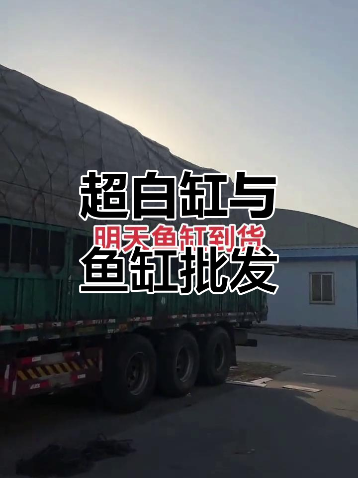 太原金谷幽兰水族馆：超白缸与鱼缸批发全攻略