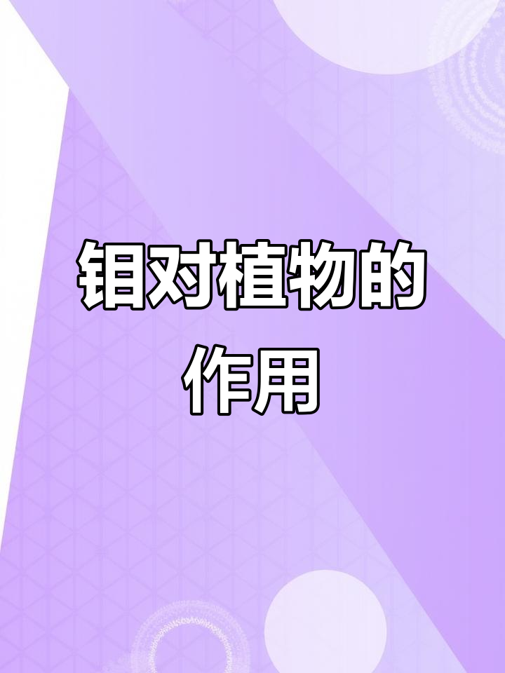 钼元素如何影响作物生长?缺钼会导致减产吗