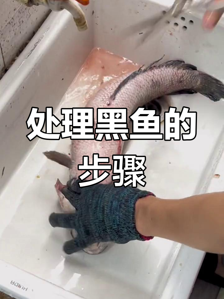 黑鱼去鳞与处理技巧