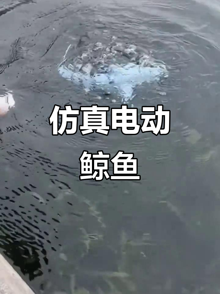 这款遥控鲸鱼玩具，逼真游动，孩子超喜欢！