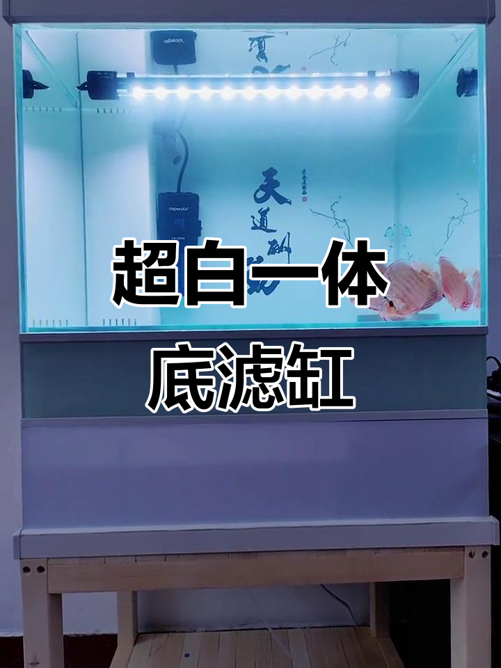 天津二姐家超白鱼缸，底滤设计完美搭配小柜子