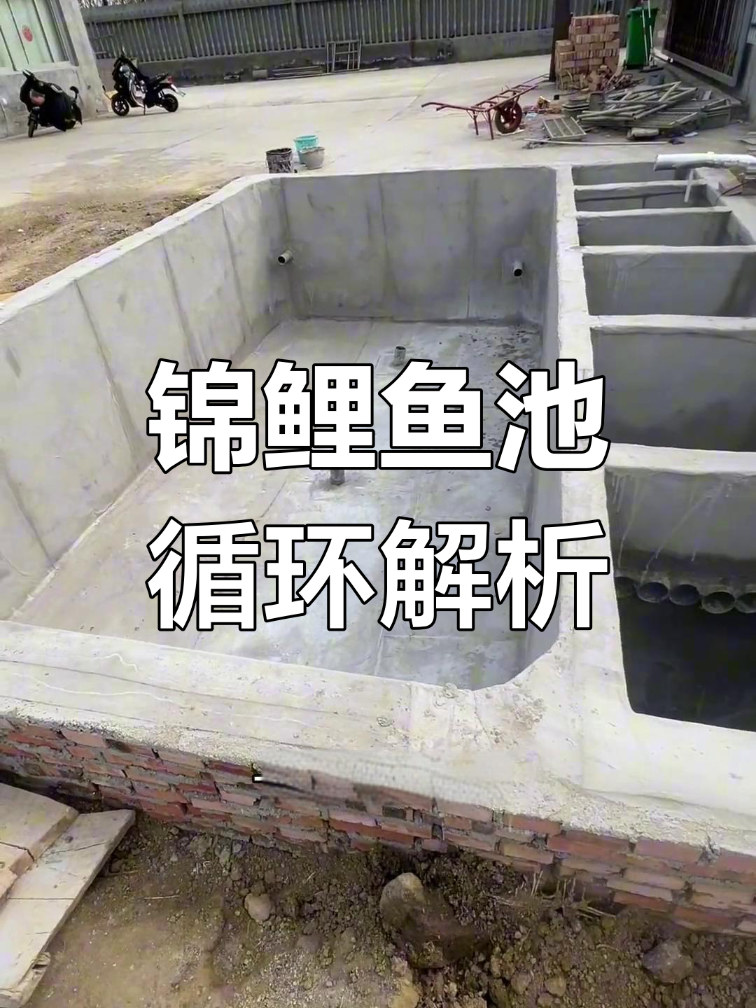 锦鲤鱼池循环过滤原理揭秘,如何打造高效水处理系统