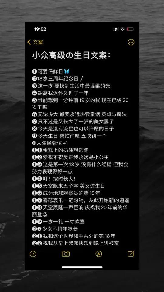 小众高级の生日文案 朋友圈文案 文案收集 每日推文 文案馆 朋友圈 今日文案 文案 适合发