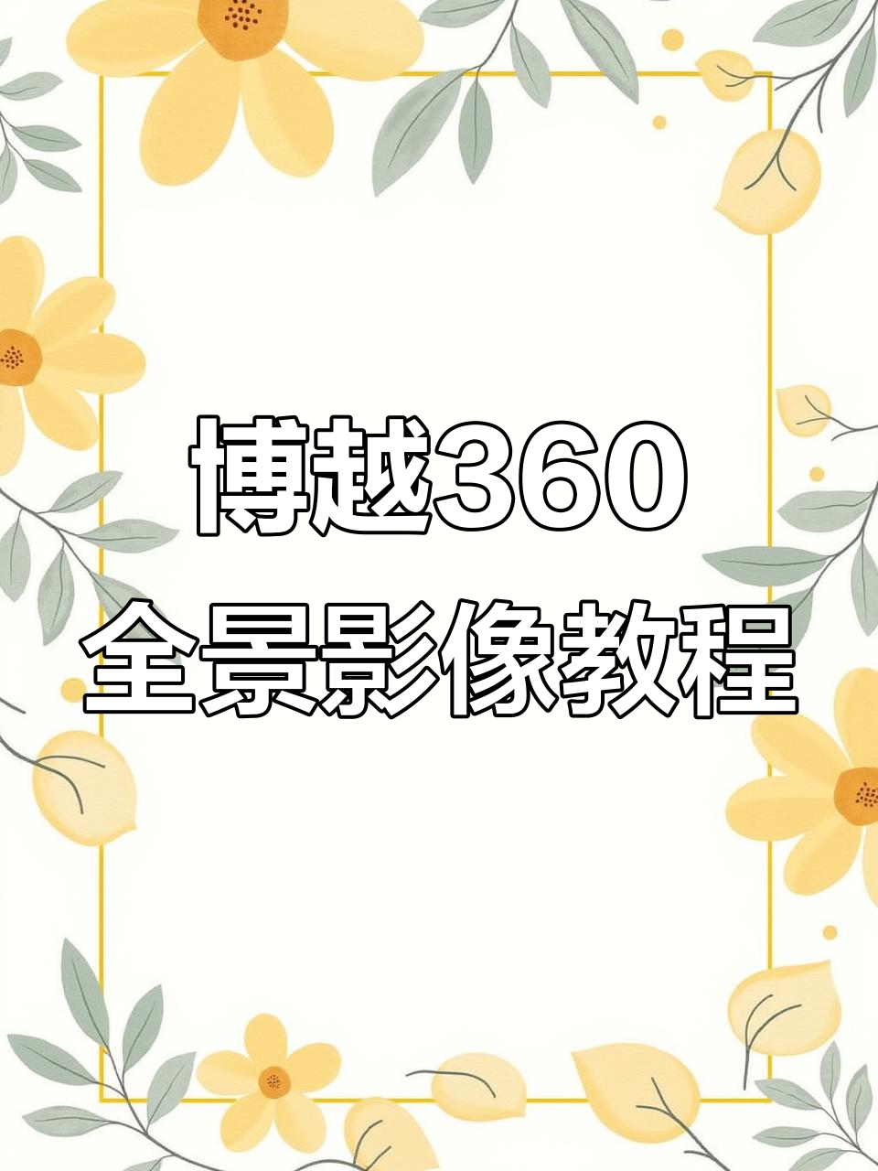 博越360全景影像辅助线开启方法,设置调整全解析
