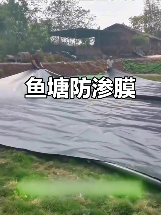 农村鱼塘防渗膜,HDPE材质,耐用防水